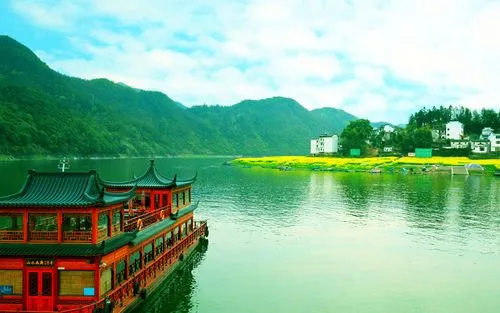 全自动高端